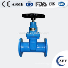 Soft sealing cast iron stem gate valve